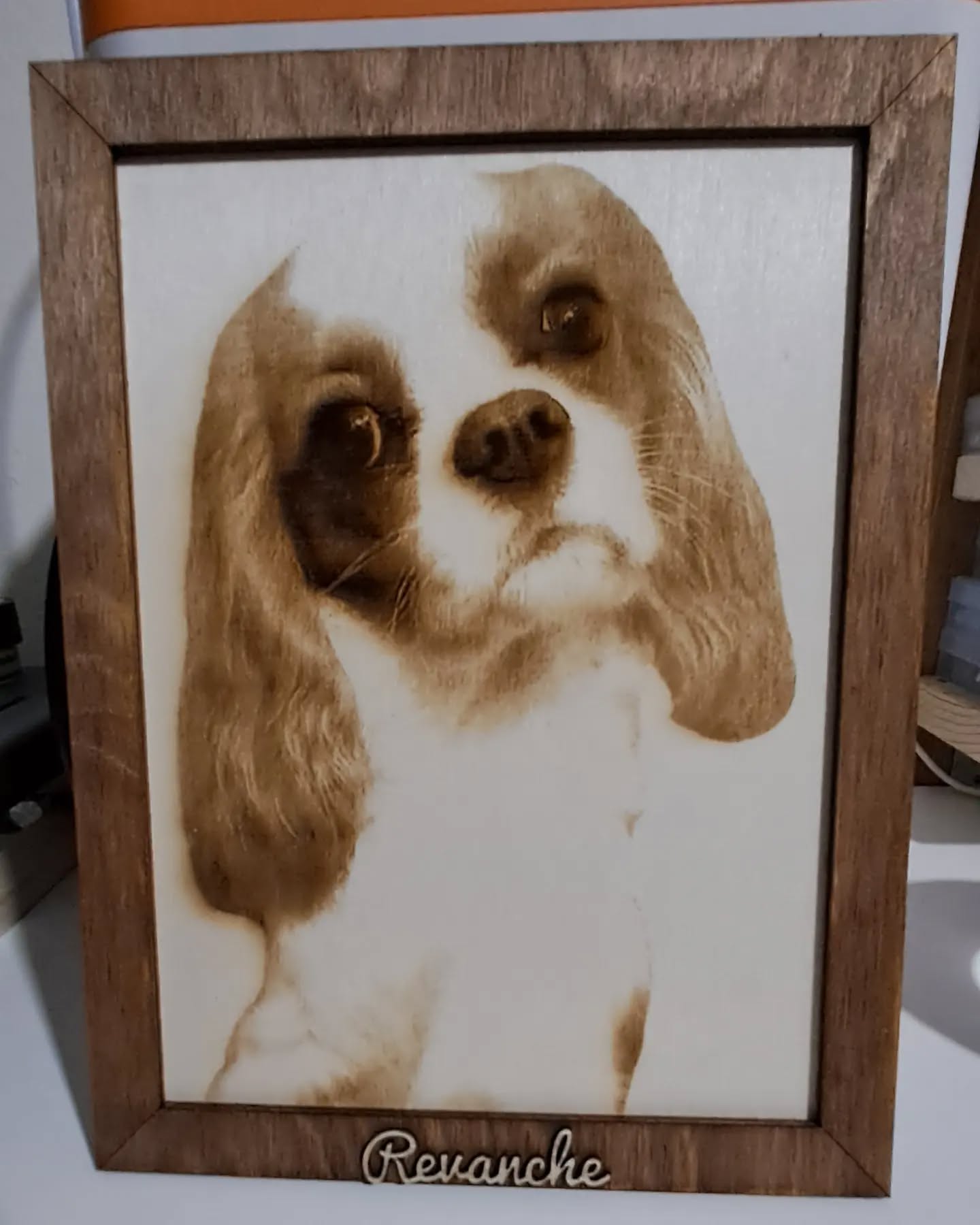 Création Bois Périgueux