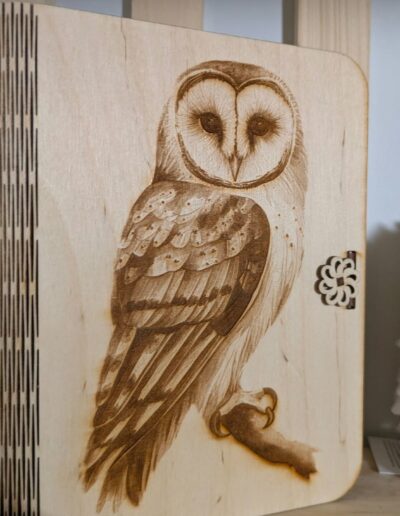 Créations d'Olisan Périgueux